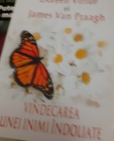 VINDECAREA UNEI INIMI INDOLIATE Doreen Virtue