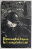 Ultima noapte de dragoste, intaia noapte de razboi - Camil Petrescu - Carte Beletristica