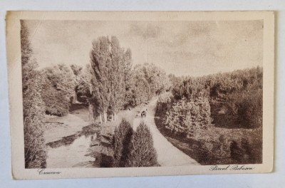 CRAIOVA , PARCUL BIBESCU , ALEI , CARTE POSTALA , INTERBELICA, foto