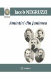Amintiri din Junimea - Iacob Negruzzi