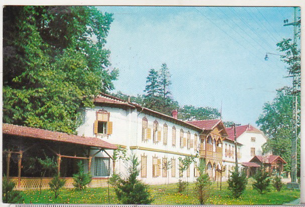 bnk cp Buzias - Vedere - circulata