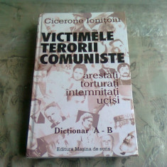 VICTIMELE TERORII COMUNISTE - CICERONE IONITOIU DICTIONAR A-B