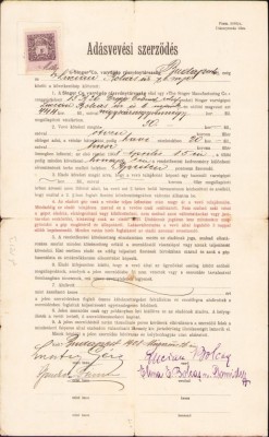 A1566 Semnătură olografă Lucian Bolcaș și Elena Domide, 1908 foto