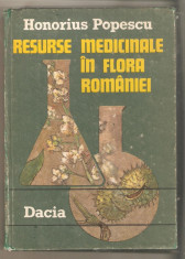 Resurse medicinale in flora Romaniei foto