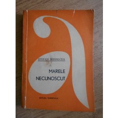 Stefan Mihalcea - Marele necunoscut