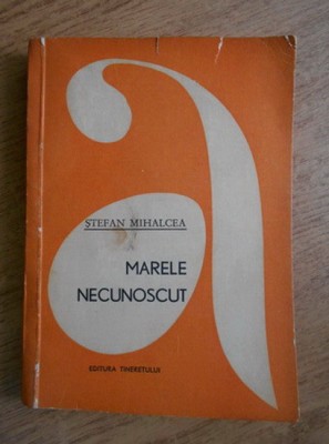 Stefan Mihalcea - Marele necunoscut foto