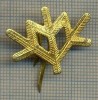 Y 1746 INSIGNA - MILITARA -SEMN DE ARMA -VANATORI DE MUNTE -PENTRU COLECTIONARI