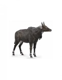 Figurina Antilopa Nilgai L Collecta