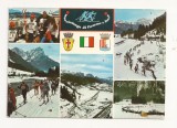 IT3-Carte Postala-ITALIA - Marcialonga di fiemme e fassa ,circulata 1980, Fotografie