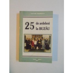 25 DE ARDELENI LA BUZAU de VICTOR ANDREICA , 2003