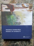 IMAGINILE DIVERSITATII / IMAGES OF DIVERSITY , ALBUM DE ARTA COLECTIVA , 2022