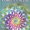 A.E. Powell - Corpul Cauzal
