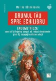 Endometrioza: Ghid complet pentru femei - Cum să &icirc;nțelegi corpul, reduci simptomele și să &icirc;ți recapăți calitatea vieții