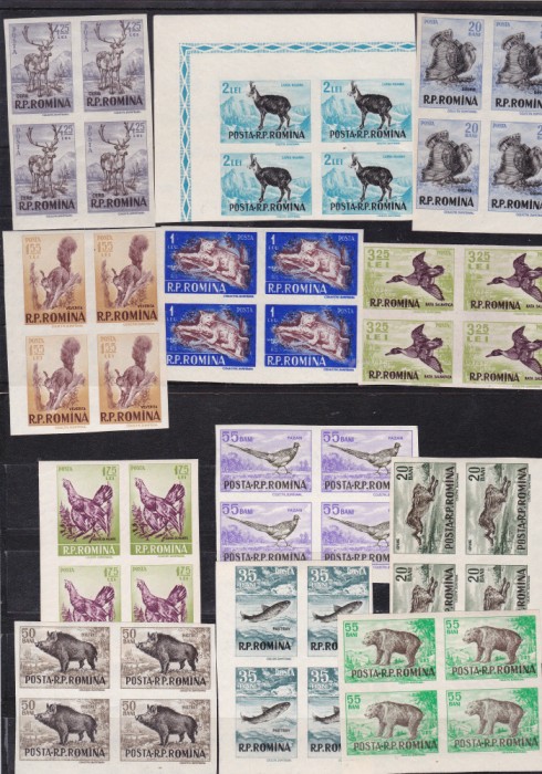 ROMANIA 1956 LP 404 a VANATOAREA NEDANTELATA BOCURI DE 4 TIMBRE MNH