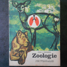 IOAN C. VOICULESCU - ZOOLOGIE. MANUAL PENTRU CLASA A X-A LICEU (1968)