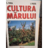 I. Chira - Cultura marului (2008)