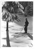 P3084N Peisaj hibernal cu schior, Rom&acirc;nia, lot de 4 fotografii