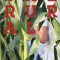 The Rural