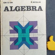 Algebra Ion. D. Ion R. Nicolae