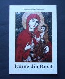 Icoane din Banat - Dorina Sabina Parvulescu