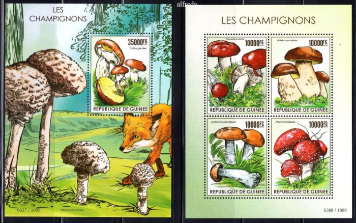 GUINEEA 2015, Ciuperci, Fauna, serie neuzata, MNH