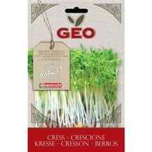 Seminte de Germinare Bio Creson Geo 35gr Cod: zxc5003 foto