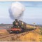 bnk cp Trenuri - 4920 Dumbleton Hall plecand din Blue Anchor