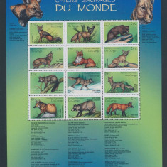 CONGO-Animale din toata lumea-lup-coyot-caine viverin-Bloc cu 12 timbre