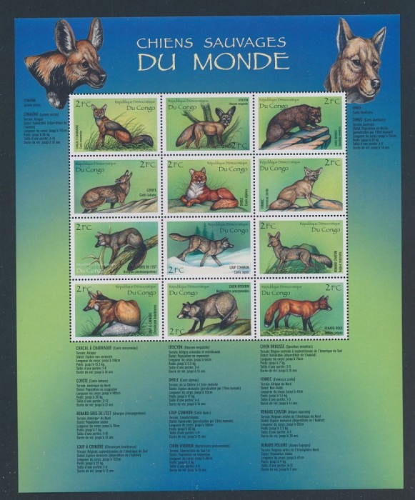 CONGO-Animale din Africa- leopard-pantera-leu-jaguar-Bloc cu 12 timbre