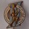 SPARTACHIADA TINERETULUI anul 1958 - Competitie sportiva internationala, insigna veche din perioada RPR ( Republica Populara Romana)