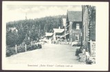 4503 - HOHE RINNE, Paltinis, Sibiu, Sanatoriul, Romania - old postcard - unused