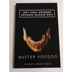BUSTER VOODOO (a novel) - Mason James COLE