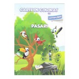 Pasari - Carte de colorat cu abtibilduri