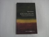 SOCIOLOGIA - STEVE BRUCE