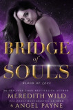 Bridge of Souls: Blood of Zeus: Book Fourvolume 4