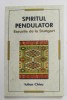 SPIRITUL PENDULATOR - ESEURILE DE LA STUTTGART de IULIAN CHIVU , 2010