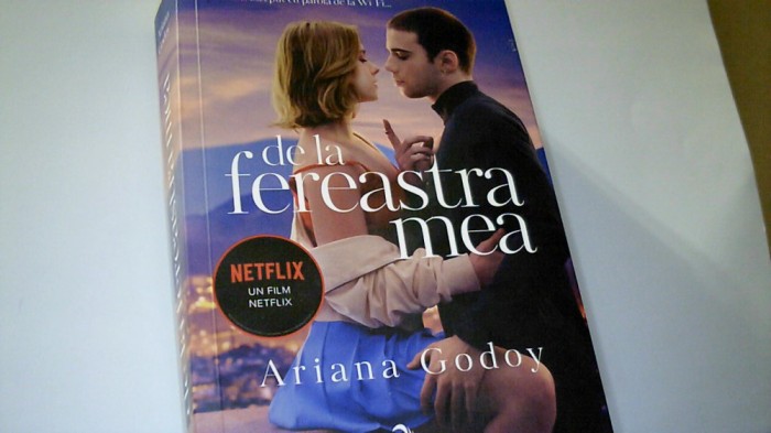 Ariana Godoy - DE LA FEREASTRA MEA / Leda Edge, 2022