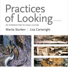 Practices of Looking: An Introduction to Visual Culture