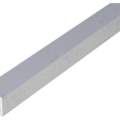 Profil Aluminiu Pătrat 10mm x 100mm
