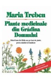 Plante medicinale din Gradina Domnului - Maria Treben