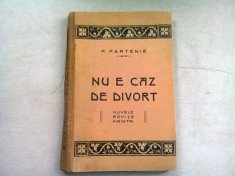 NU E CAZ DE DIVORT - P. PARTENIE foto