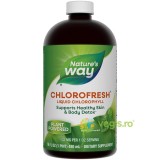 Chlorofresh Mint Liquid 480ml Secom,