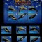Grenada Carriacou 2010 Whales set + perf sheet Mi.4599-04+B641 MNH M.247