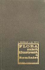Flora mica ilustrata a romaniei - I. Prodan, Al. Buia foto