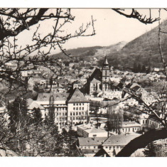 CPIB 19026 CARTE POSTALA - BRASOV, VEDERE PANORAMICA, RPR