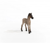 Figurina - Criollo Definitivo Foal | Schleich