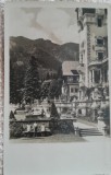 Carte Postala Sinaia, Terasele Castelului Peles, Perioada Interbelica, 14x9 cm, Alb-Negru, Necirculata