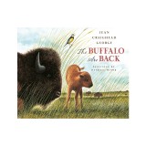 The Buffalo Are Back