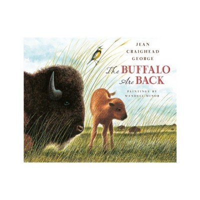 The Buffalo Are Back foto