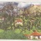bnk cp Busteni - Vedere spre Bucegi - necirculata